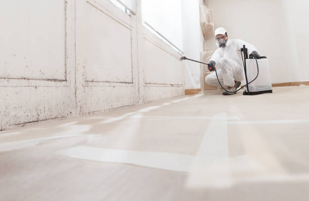 24/7 Emergency Mold Remediation experts in Manchester, MI