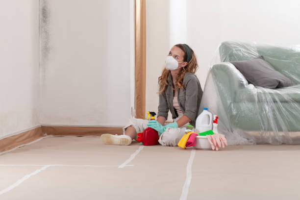 Reliable Mold Remediation contractor in Manchester, MI by Cheap Mold Removal